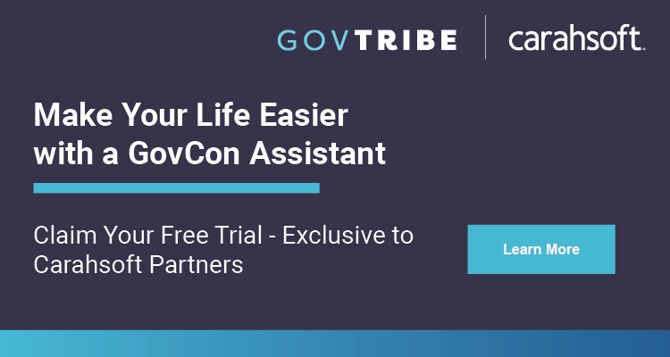 Make Your Life Easier with a GovCon Assistant