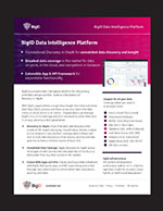 BigID Data Intelligence Platform
