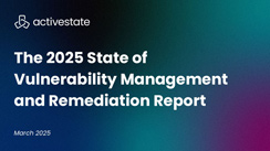 The 2025 State of Vulnerability Management and Remediation Report