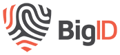 BigID logo