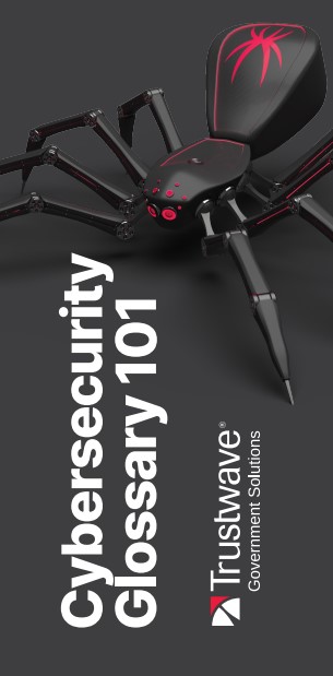 Cybersecurity Glossary 101