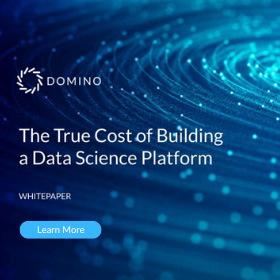 domino the true cost of building a data science platform