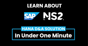 One Minute Series: HANA D&A Solution